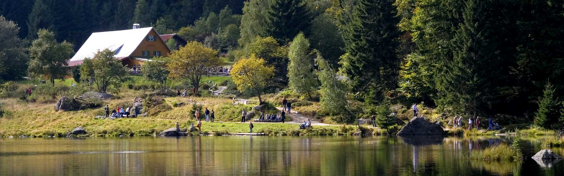 Pension, Ferienwohnung, FeWo, Bayerischer Wald, Bayerwald, Bayerischer Wald, Gästehaus, Bodenmais, Arber, Nationalpark Bayerischer Wald,Bayerisch Kanada,Geißkopf,Großer Pfahl Viechtach, Ruhmannsfelden, Achslach, Patersdorf, Zachenberg, Waldwipfelweg, Wolfgangsweg, Waldbahnweg, Ruhmannsfelden, Trainingsstall Leuthenmühle, Glasstrasse, Haus des Lebens Ruhmannsfelden, Degen Medienhouse, Bayerwald-Bike, Bayrisch Kanada, Mountainbike, Downhill,  Glasdorf Arnbruck, Joska Bodenmais, Haus der Wildnis Zwiesel, Teisnach, Deggendorf