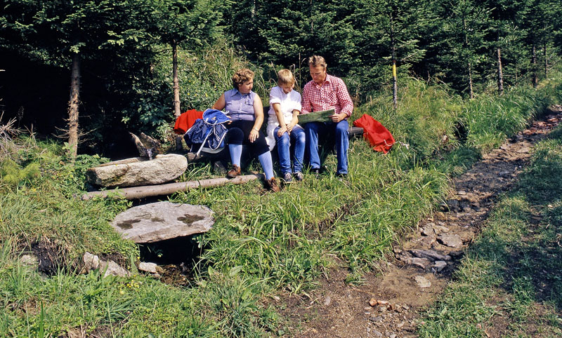 Pension, Ferienwohnung, FeWo, Bayerischer Wald, Bayerwald, Bayerischer Wald, Gästehaus, Bodenmais, Arber, Nationalpark Bayerischer Wald,Bayerisch Kanada,Geikopf,Groer Pfahl Viechtach, Ruhmannsfelden, Achslach, Patersdorf, Zachenberg, Waldwipfelweg, Wolfgangsweg, Waldbahnweg, Ruhmannsfelden, Trainingsstall Leuthenmhle, Glasstrasse, Haus des Lebens Ruhmannsfelden, Degen Medienhouse, Bayerwald-Bike, Bayrisch Kanada, Mountainbike, Downhill,  Glasdorf Arnbruck, Joska Bodenmais, Haus der Wildnis Zwiesel, Teisnach, Deggendorf